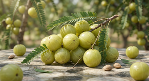 Amla